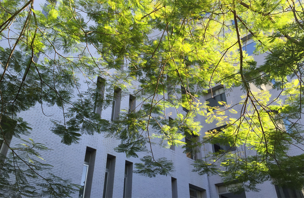 本院110年度「人文社會科學博士候選人培育計畫」即日起受理申請